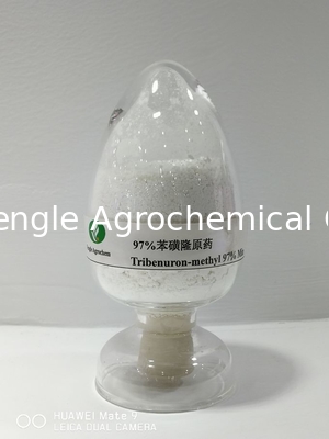 Poder branco Tribenuron-metílico 97% TC do inseticida agroquímico