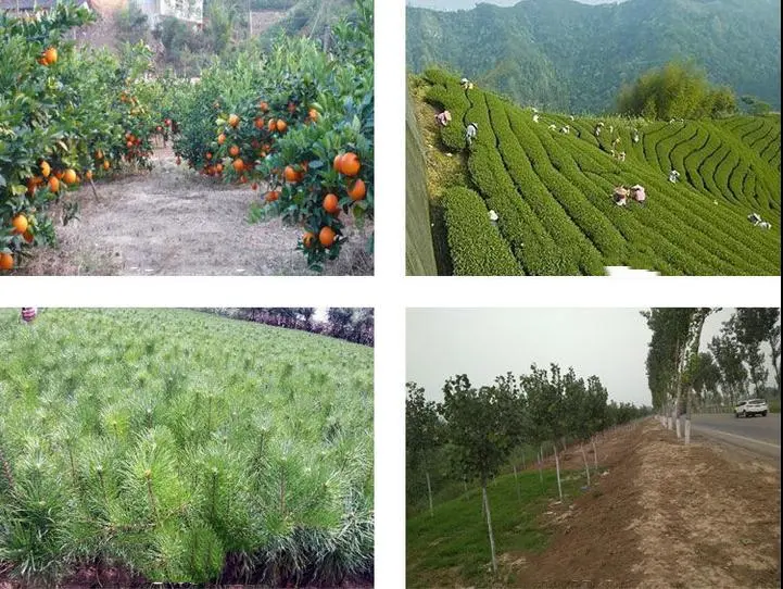 Sc anual de Weedicide Mesotrione 15% da erva daninha do controle do herbicida do campo da cana-de-açúcar do milho