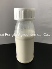 Nicosulfuron 80g/L OD, líquido branco leitoso, assassino Broadleaf da grama para o milho