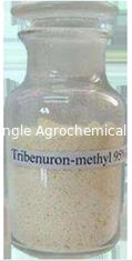 Herbicida metílico 95% Tc de Tribenuron do herbicida seletivo para controlar ervas daninhas Broadleaf
