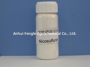 Herbicida Nicosulfuron 97% TC CAS No 111991-0904