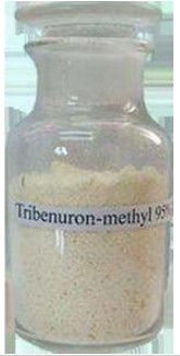 Herbicida metílico 95% Tc de Tribenuron do herbicida seletivo para controlar ervas daninhas Broadleaf